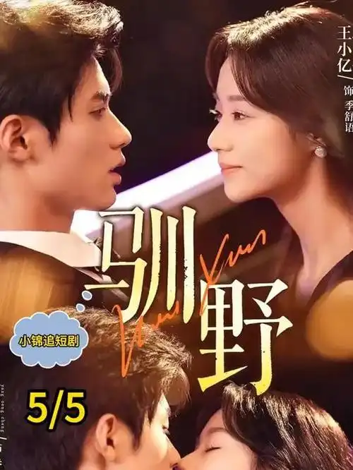 雾港迷局犯罪悬疑电视剧全集在线观看